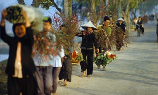 Tết hòa bình đầu tiên